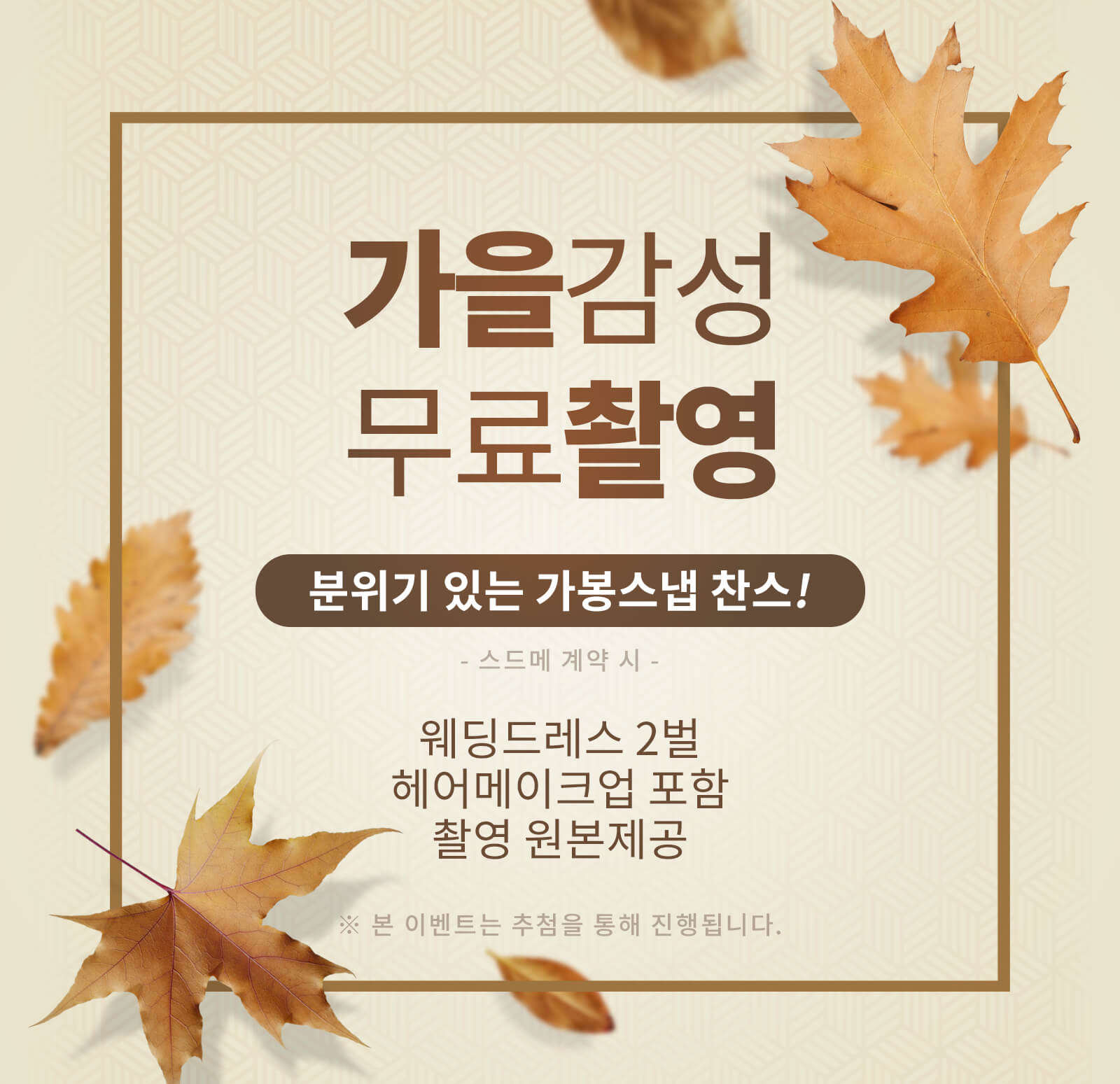 가을감성 무료 촬영